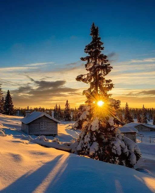 winter's landscape