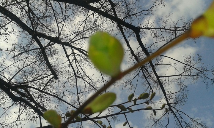 Look up to the sky