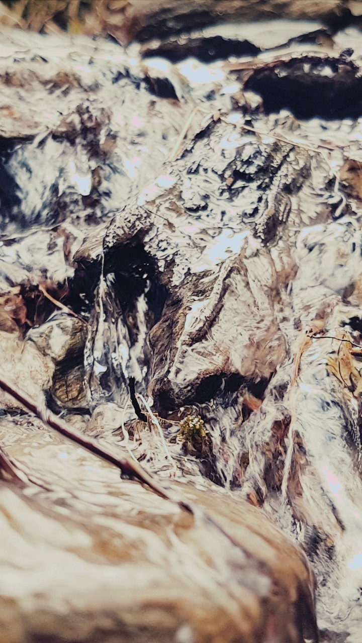 Background picture
