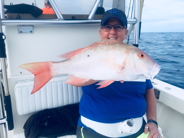 Snapper