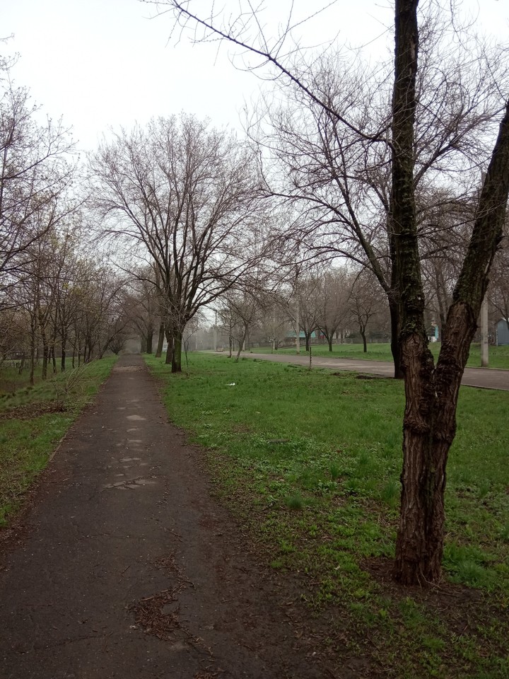 сочность травы