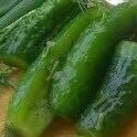 Cucumber