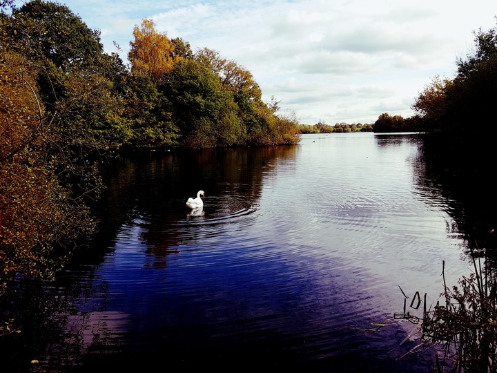 River 3