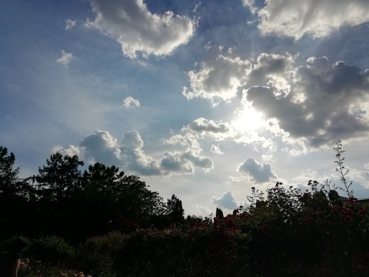 Sky