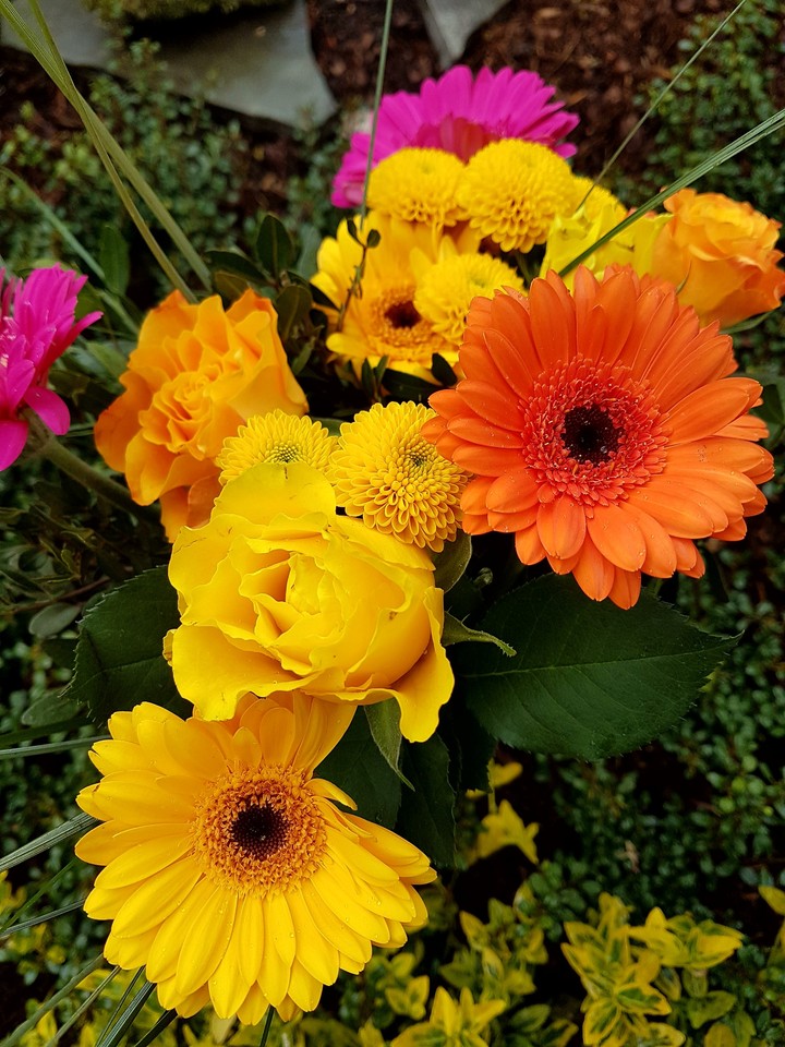 Bunch of flowers