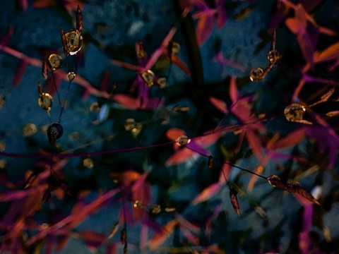 Drop.