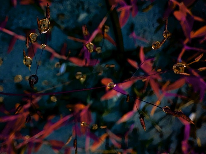 Drop.