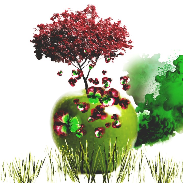 the tree on the apple