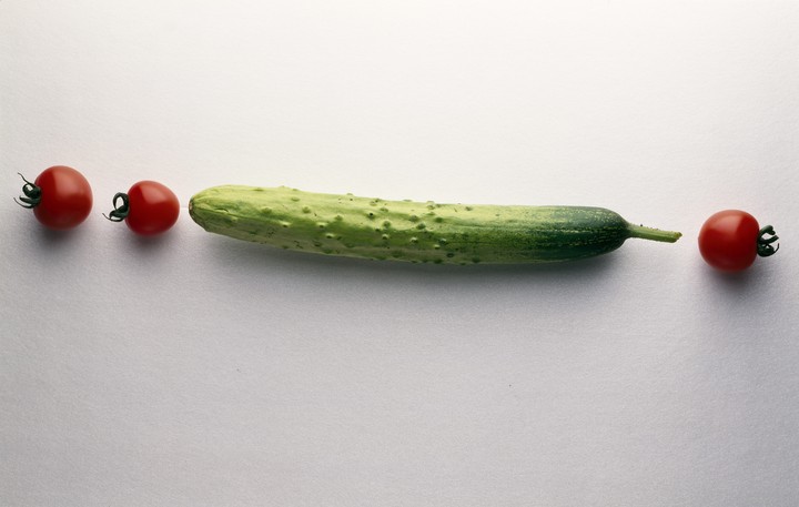 음식이미지