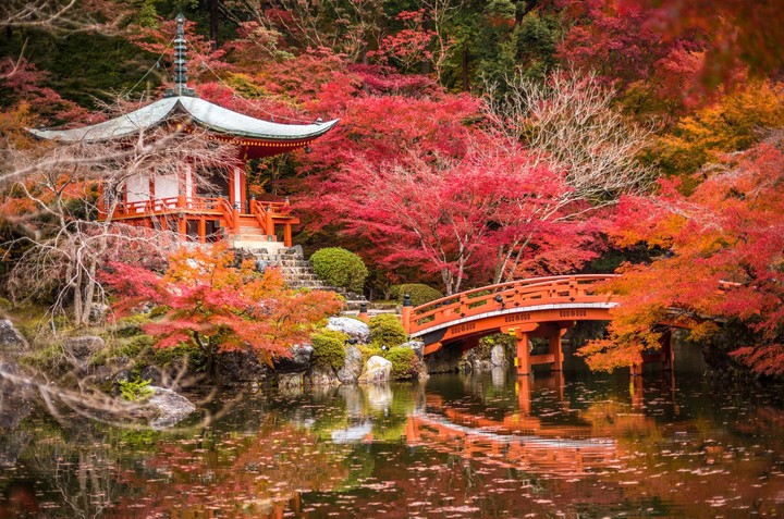Japaniche inspirasion.