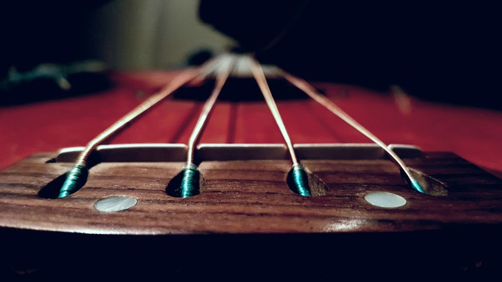 bass guitar