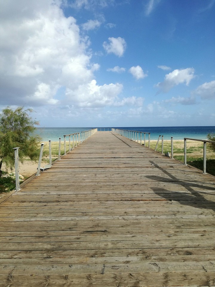 Wooden bridge