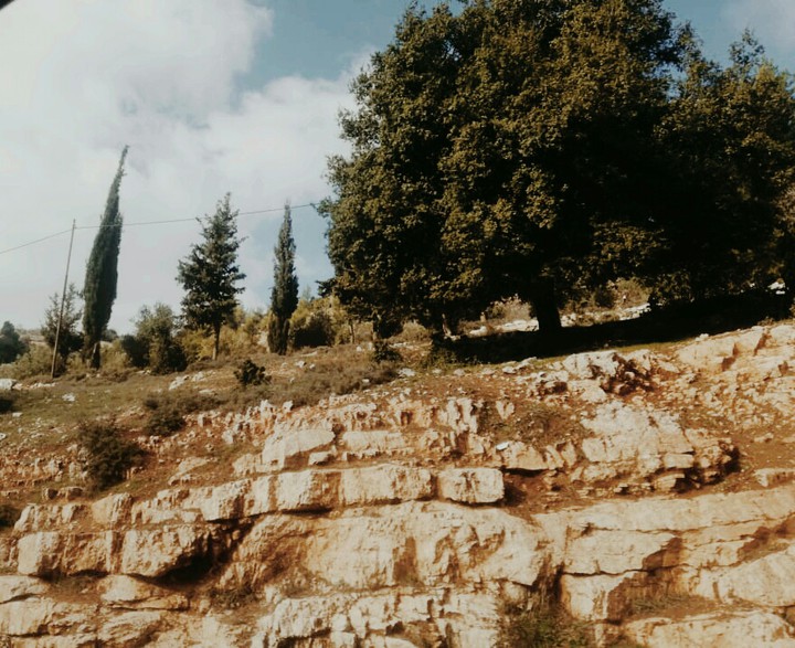 wonderful view ??