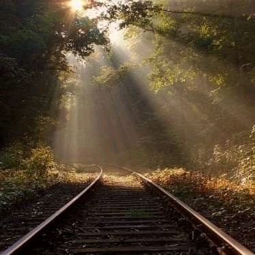 #Rails