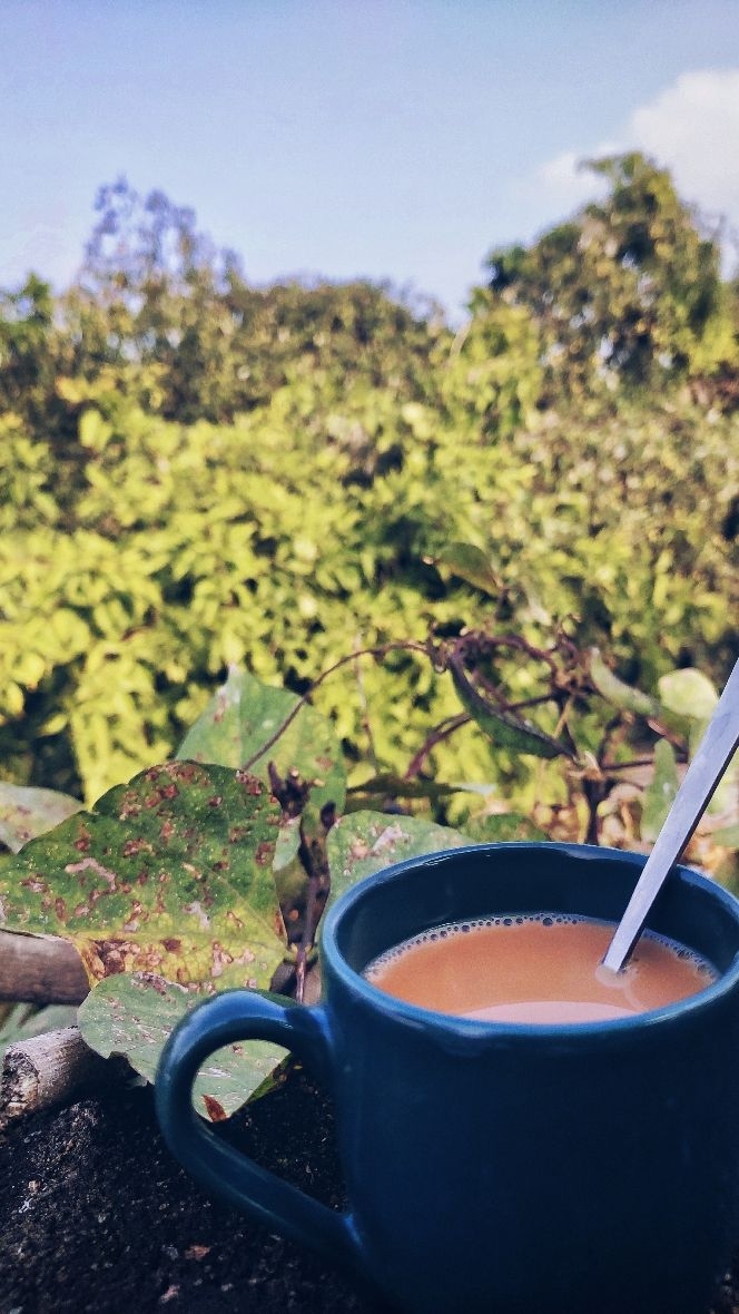 chai forever
