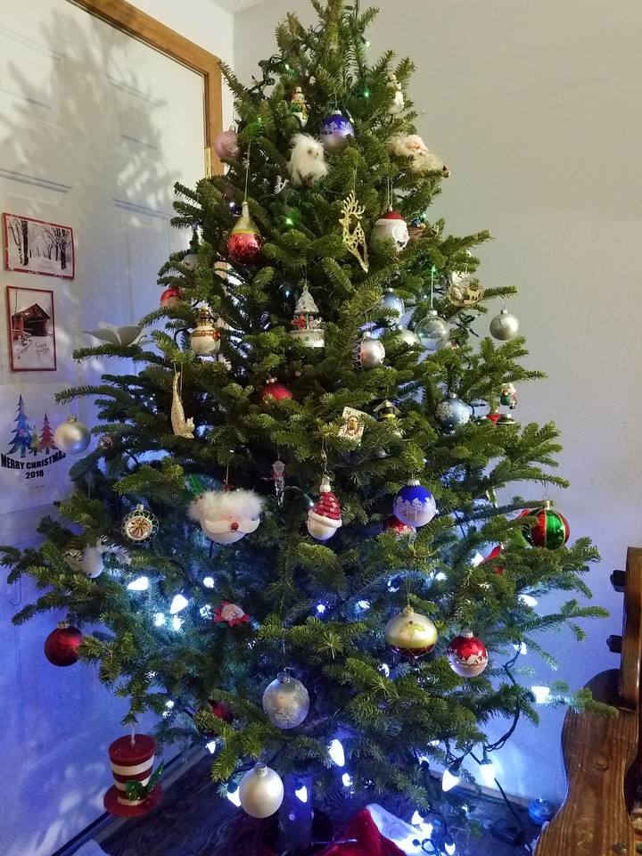 Christmas 2018