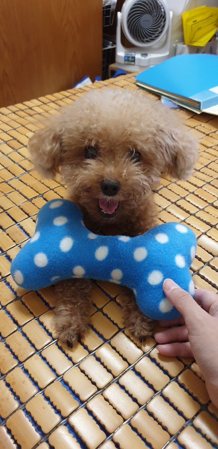 我最愛的兒子