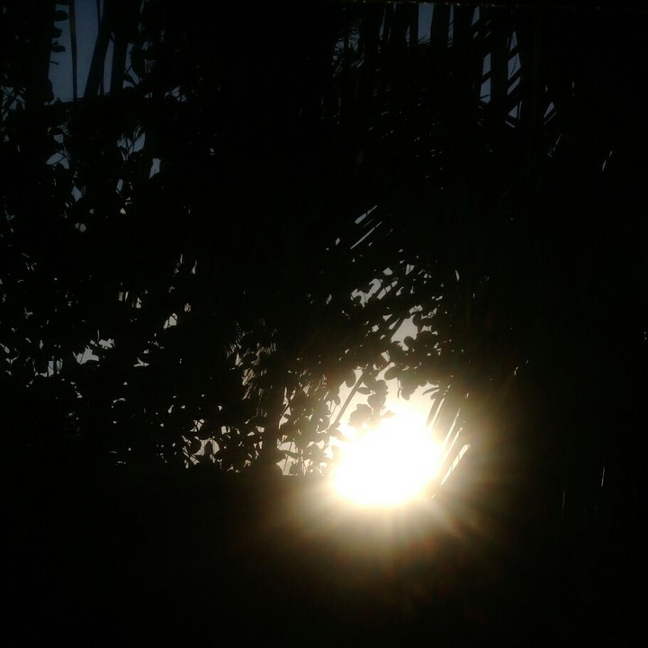 beautiful sunset