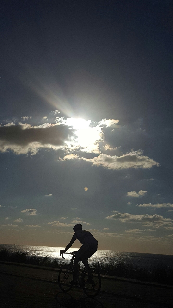 cyclist in the evening sun