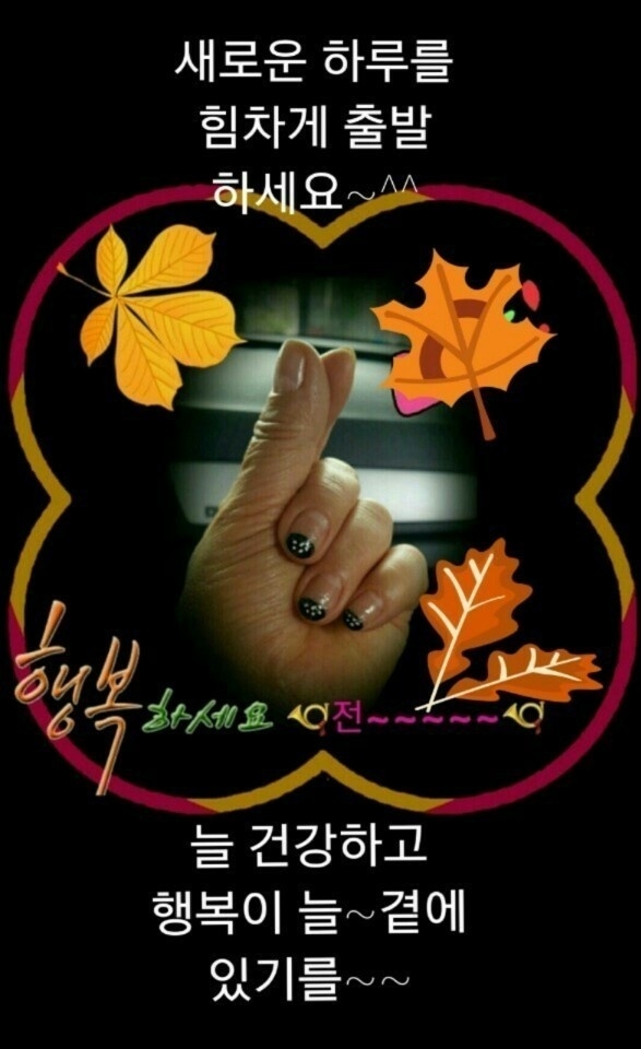 감사합니다