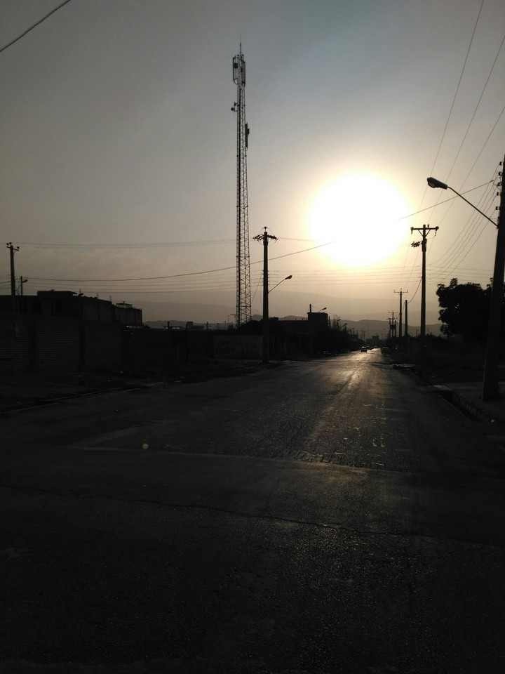 nice and alone sun in city