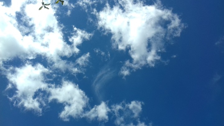 Sky