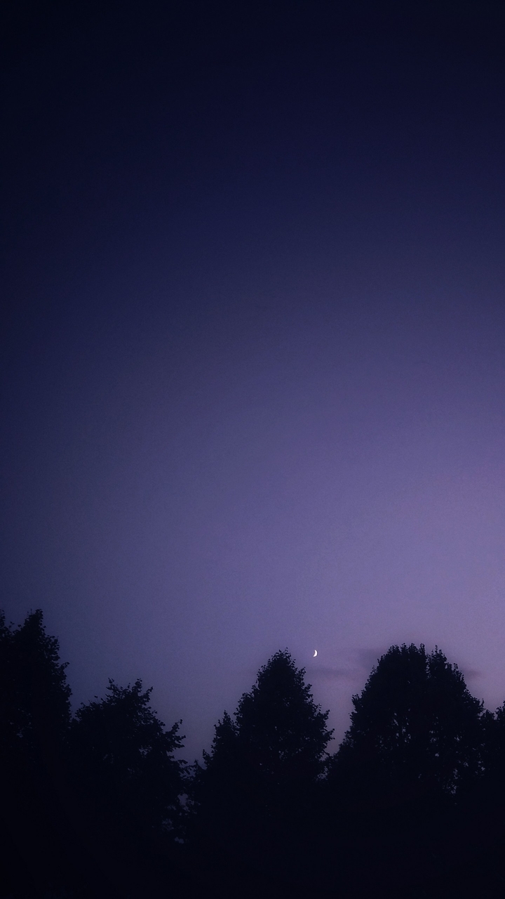 early evening