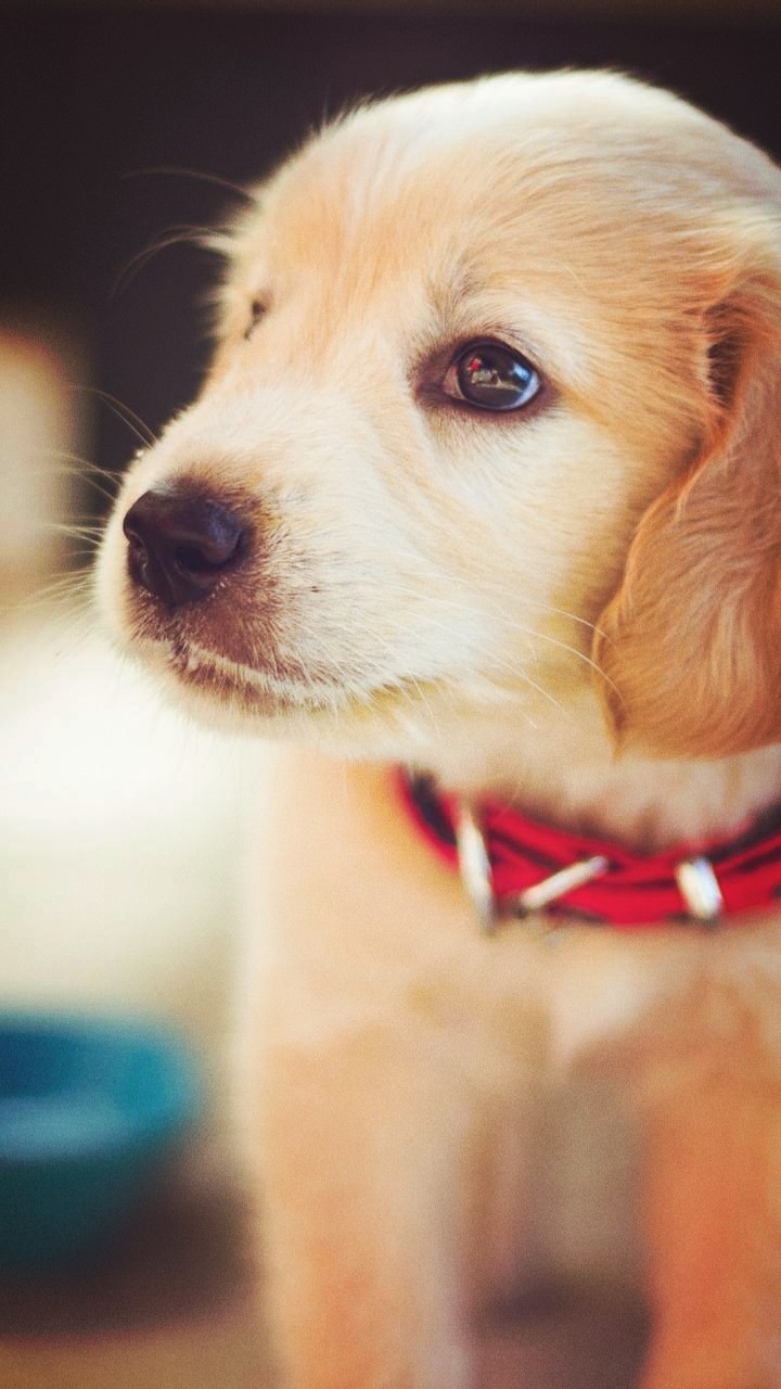 cute