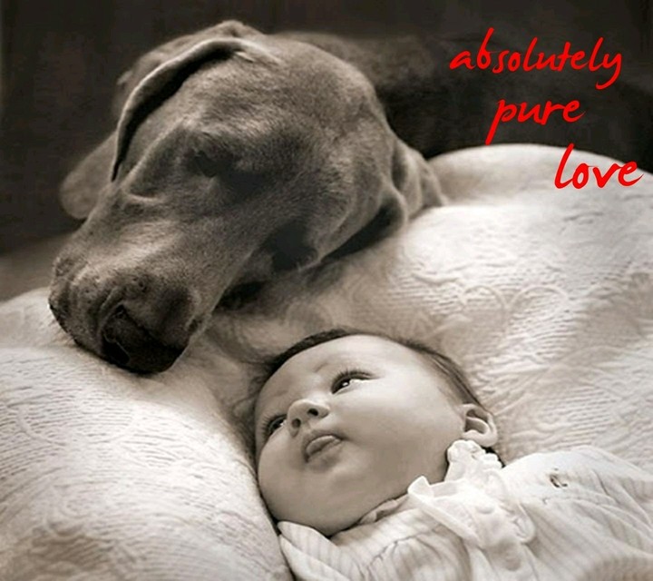 Pure love