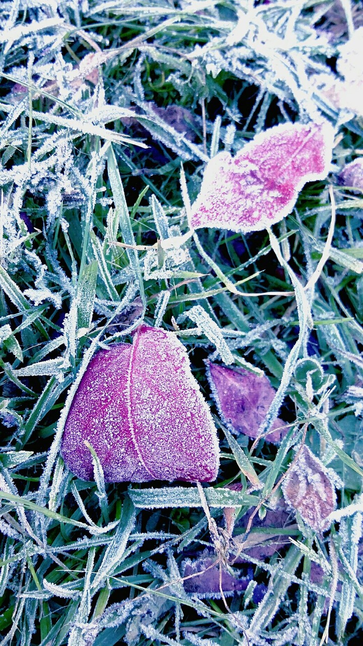 winter comes
