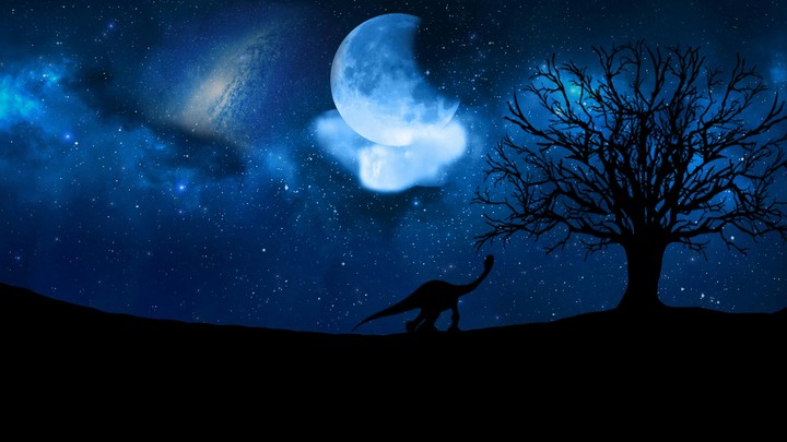 The Good Galaxy