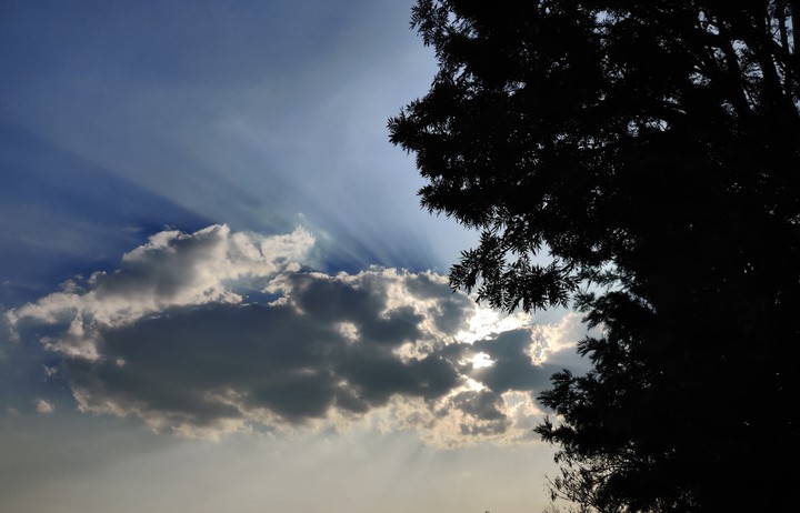Rays