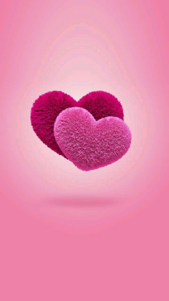Amor