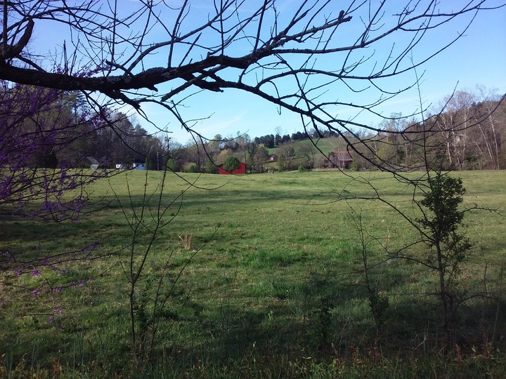 Horse farm