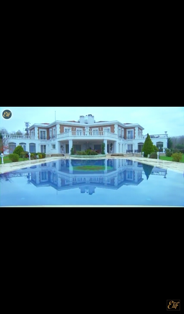mi mansion