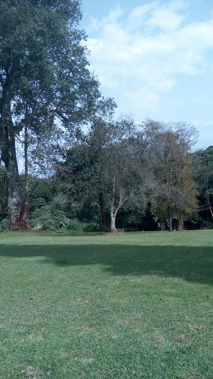 Resting park
