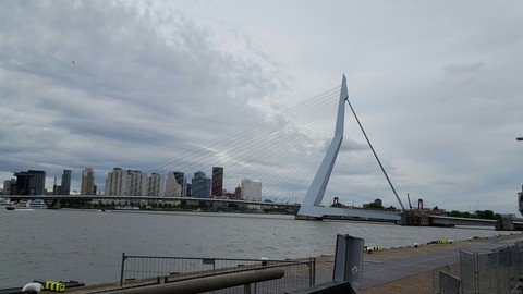 Erasmus brug