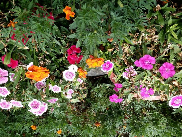 Beauty of nature