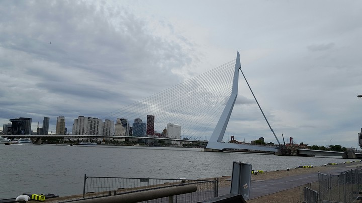 Erasmus brug