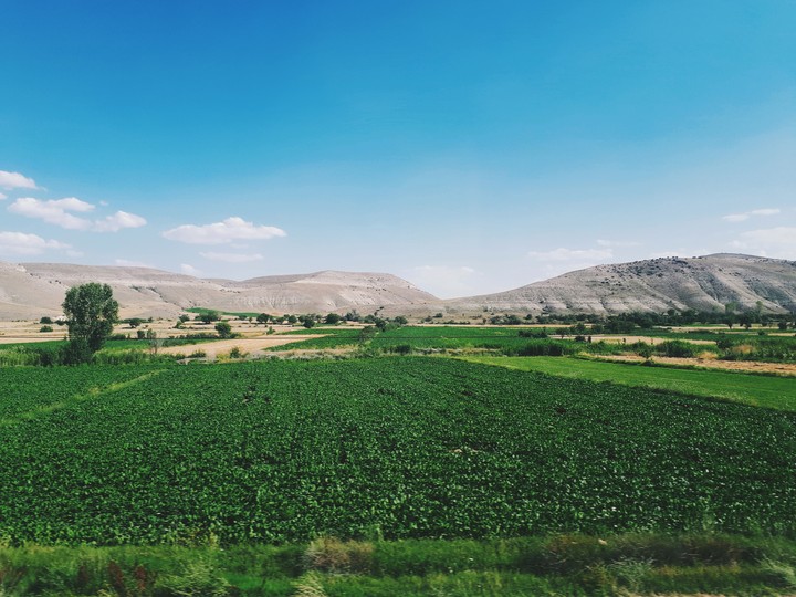 Türkiye