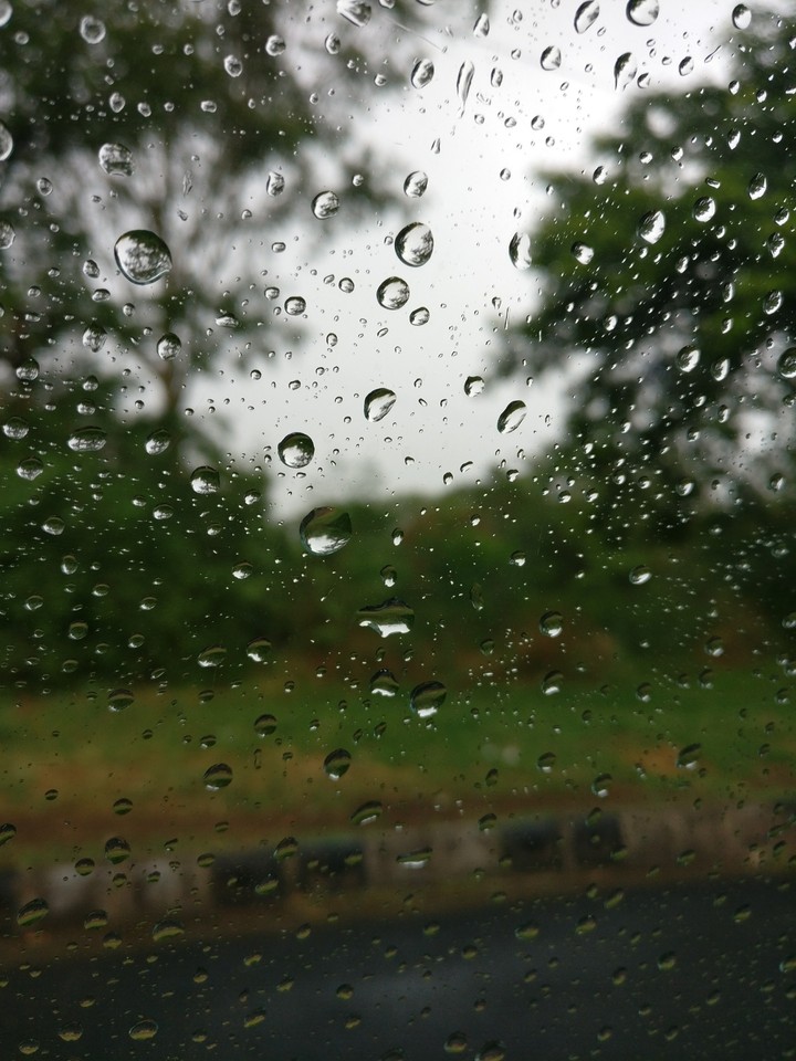 Raindrops