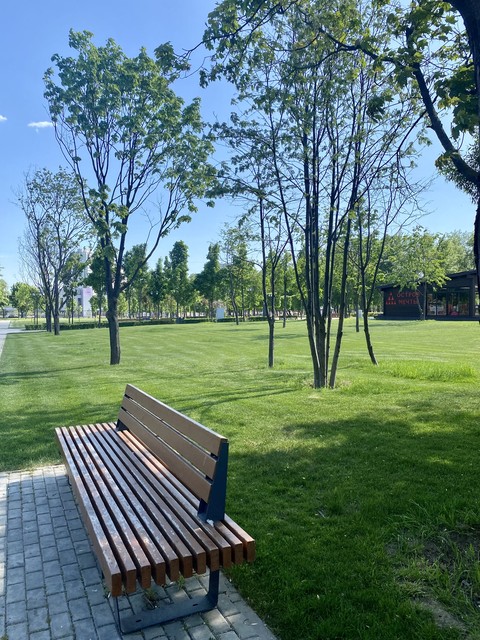ταπετσαρίες tree, green