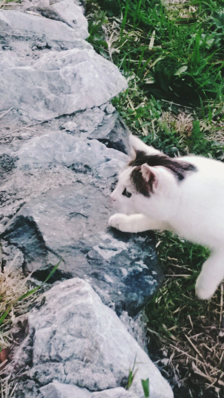 hunter