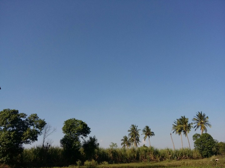best scenery