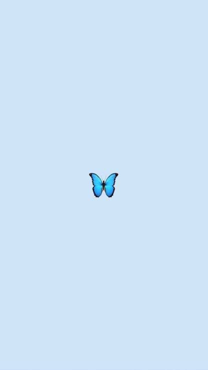 blue butterfly