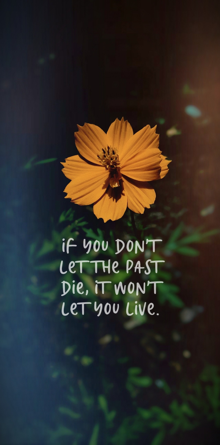 Forget the past