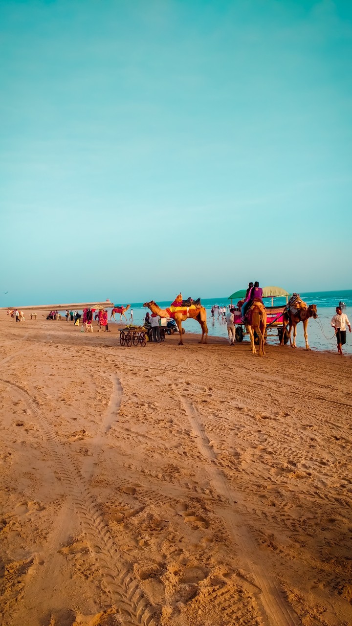 beach
