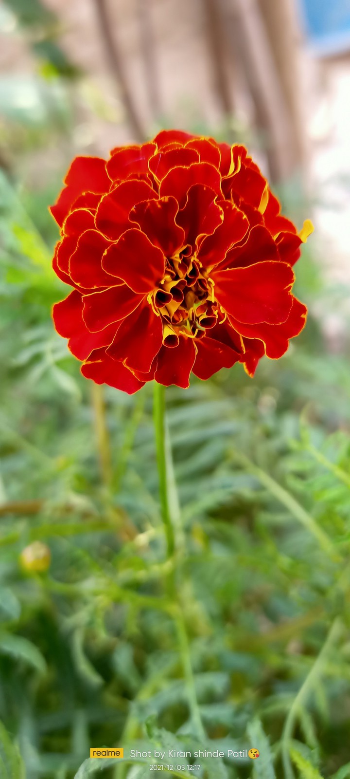 click by Realme 6
