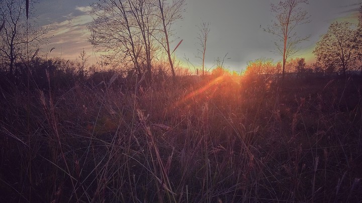 autumn sunshine