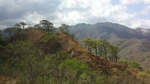 chiapas